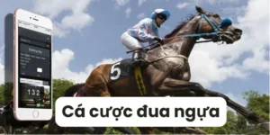Tìm Hiểu Cá Cược Đua Ngựa ABC8: Bí Quyết Từ Dân Chuyên